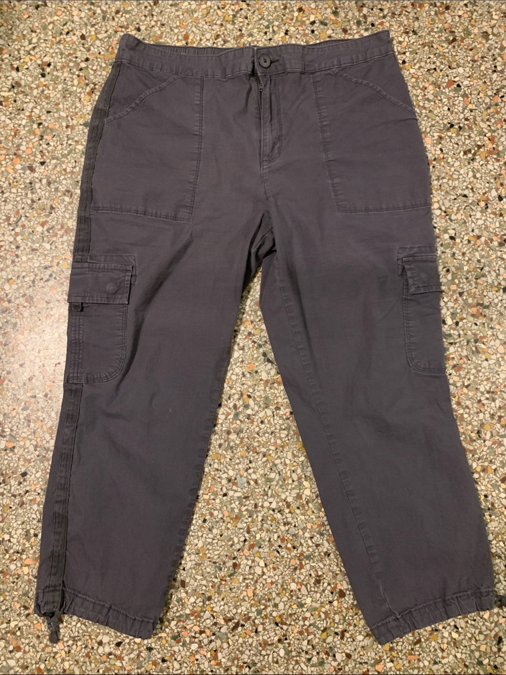 Social Standard by Sanctuary Cargo capris